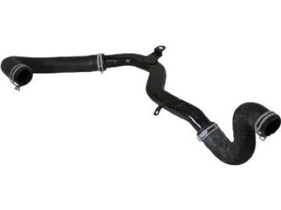 Ford YS4Z-8286-CA Lower Hose