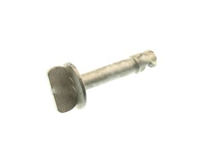 Ford AG1Z-00817-A Under Cover Screw