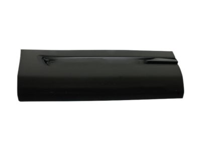 Ford FB5Z-7825556-DA Lower Molding