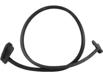 Ford CK4Z-1525325-F Door Weatherstrip