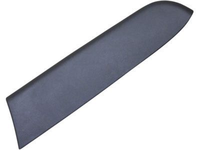 Ford 1L2Z-9824101-AAB Armrest Pad