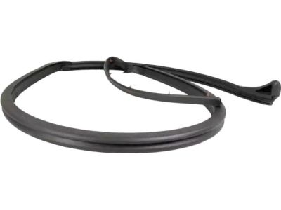 Ford 4W1Z-5451822-BA Weatherstrip