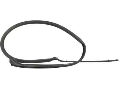 Ford 4W1Z-5451822-BA Weatherstrip