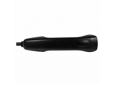 Ford BT4Z-7822404-CAPTM Handle, Outside
