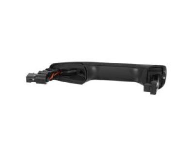 Ford BT4Z-7822404-CAPTM Handle, Outside