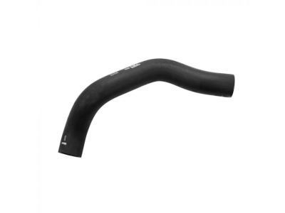 Ford F4ZZ-8286-A Lower Hose