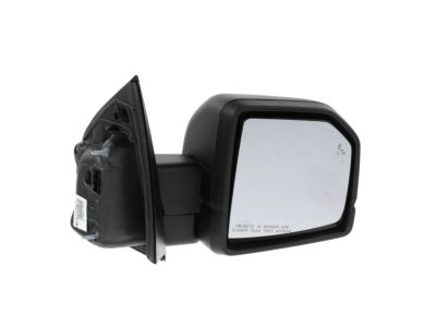 Ford FL3Z-17682-FC Mirror Assembly