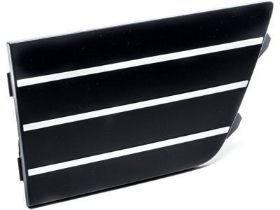 Ford 8A5Z-17K945-AB Lower Grille Insert Panel