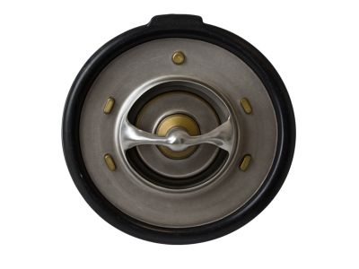 Ford F68Z-8575-BA Thermostat