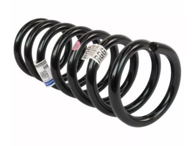 Ford DG9Z-5560-G Coil Spring