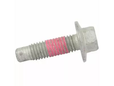 Ford -W712679-S439 Door Check Bolt
