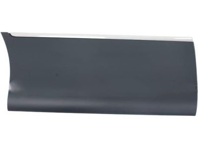 Ford 6W1Z-5425556-BPTM Body Side Molding