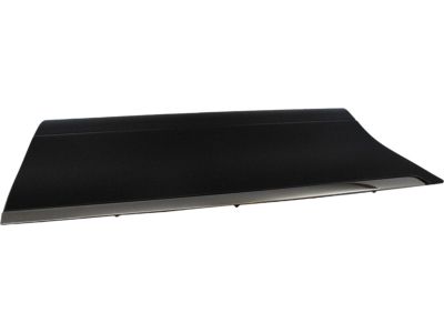Ford 6W1Z-5425556-BPTM Body Side Molding
