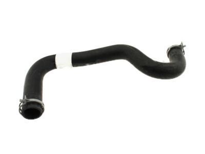 Ford BE8Z-8286-A Lower Hose