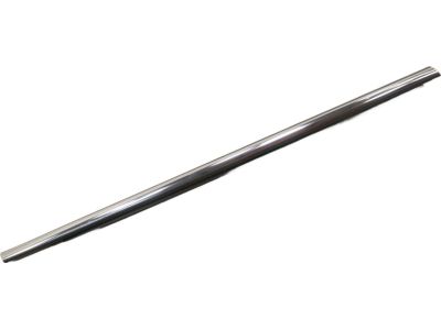 Ford 6E5Z-5421452-BA Belt Weatherstrip