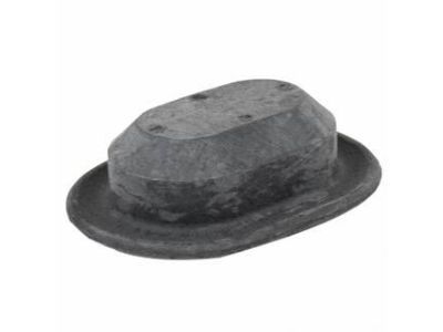 Ford BB5Z-78442K00-A Lift Gate Plug