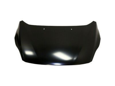 Ford AM5Z-16612-A Hood