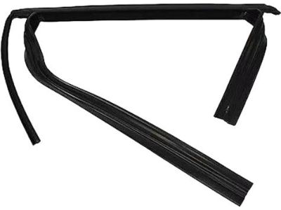 Ford BM5Z-5825767-A Window Channel
