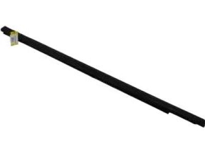 Ford 1L2Z-7821452-AAA Belt Weatherstrip