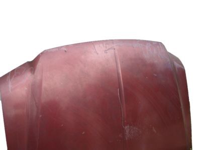 Ford 4C3Z-16612-AA Hood