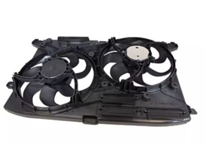 Ford DG9Z-8C607-C Fan Assembly