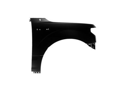 Ford FL3Z-16005-A Fender Assembly - Front