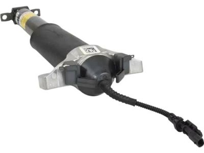 Ford FR3Z-18125-R Shock Absorber Assembly