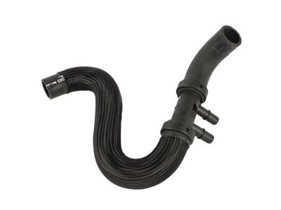 Ford FR3Z-8286-H Lower Hose