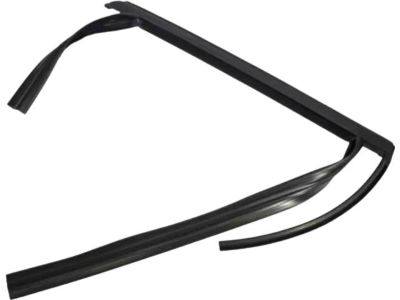 Ford BM5Z-5825766-A Window Channel