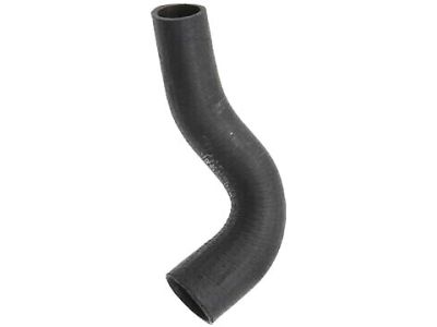 Ford F5RZ8286C Lower Hose