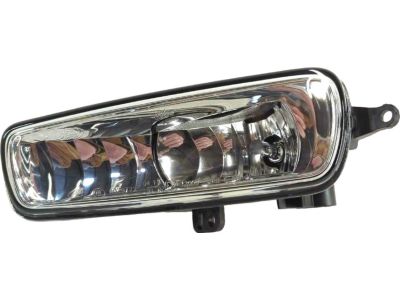 Ford F1EZ-15201-A Fog Lamp