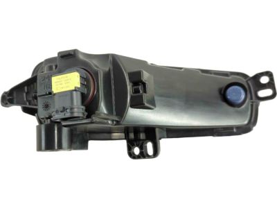 Ford F1EZ-15201-A Fog Lamp