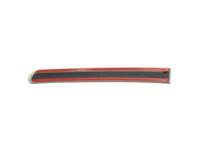 Ford XL3Z-1825533-APTM Body Side Molding