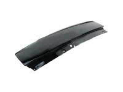 Ford 2L1Z-7829077-AAA Lower Molding