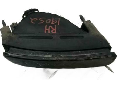 Ford 4L1Z-15200-AA Fog Lamp Assembly