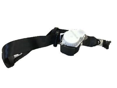 Ford DT1Z-17611B69-AA Outer Belt Assembly