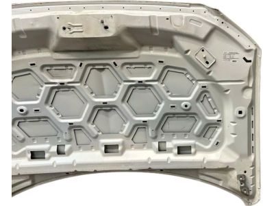 Ford KA1Z-16612-A HOOD ASY