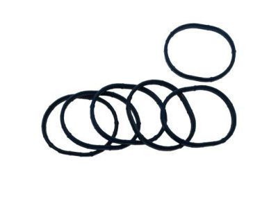 Ford 5L2Z-9461-AA Manifold Gasket