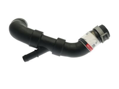 Ford 5F9Z-8A507-BF Lower Hose
