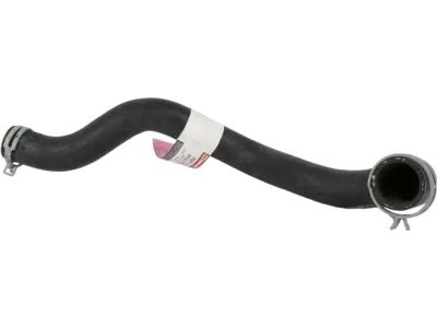 Ford 8V2Z-8260-B Upper Hose