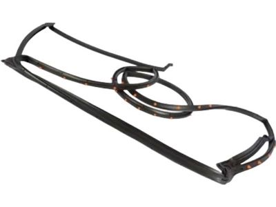 Ford AE9Z-7425325-A Door Weatherstrip