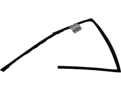 Ford 7T4Z-7825766-B Run Channel