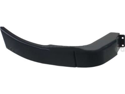 Ford 6W1Z-5429077-APTM Body Side Molding