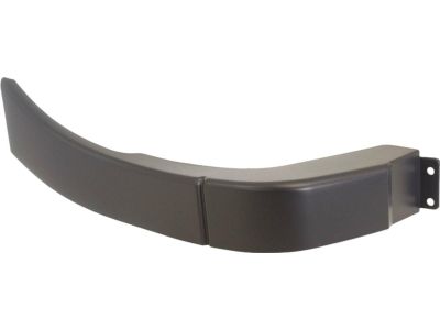 Ford 6W1Z-5429077-APTM Body Side Molding