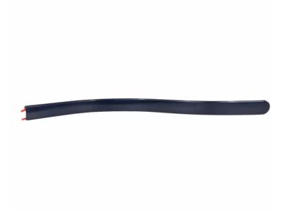 Ford 5C3Z-2625532-AAE Body Side Molding