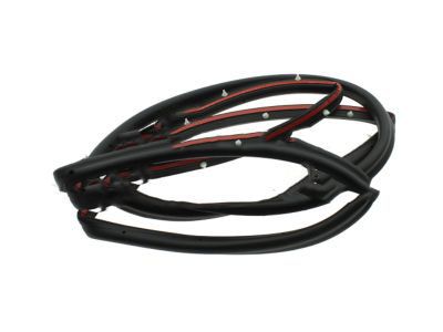 Ford BM5Z-5820708-E Door Weatherstrip