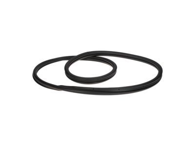 Ford BL8Z-7842084-C Weatherstrip