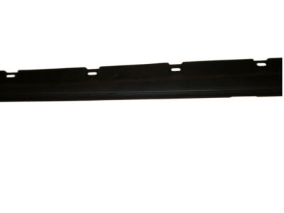 Ford 3W1Z-5410176-AAA Rocker Molding