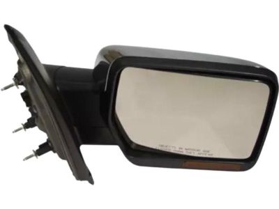 Ford 9L3Z-17682-GA Mirror