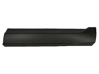 Ford FT4Z-5820878-AA Lower Molding